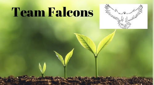 Team Falcons biz